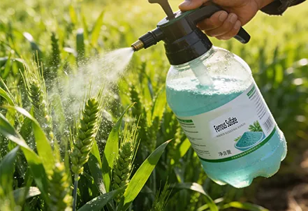 เกษตรกรรม