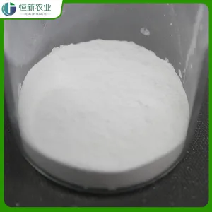 มัลติฟังก์ชั่นแมกนีเซียมซัลเฟตโมโนไฮเดรต