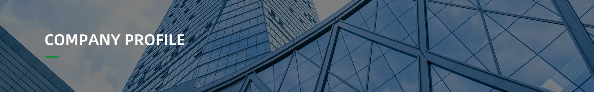 แนะนำบริษัท