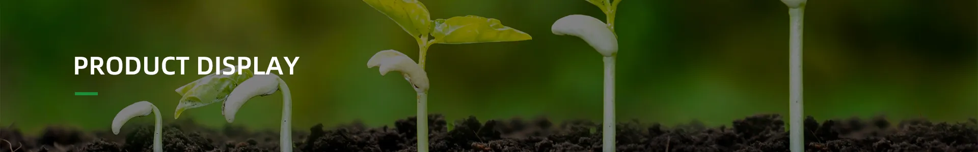 ศูนย์ผลิตภัณฑ์