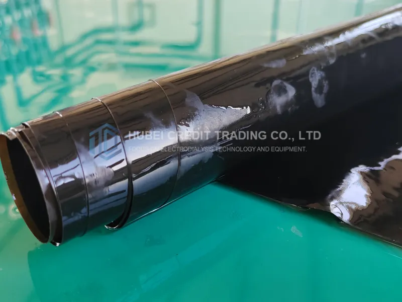 Cation exchange membranes