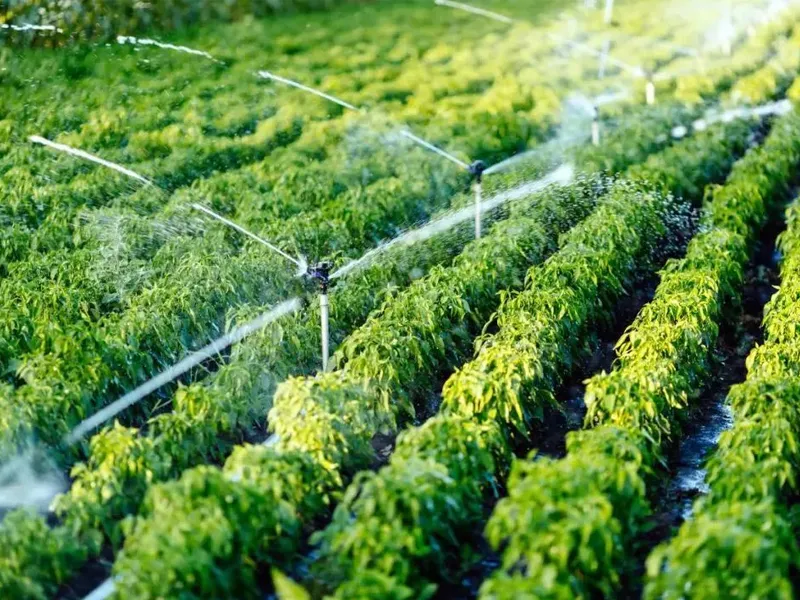 Agricultural applications