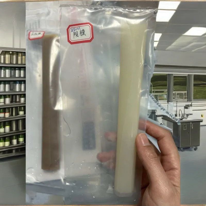 New Anion Exchange Membrane Filtration Core 1-Year Warranty for EDI Pressure Vessel Water Treatment for Lab Manufacturing Plant