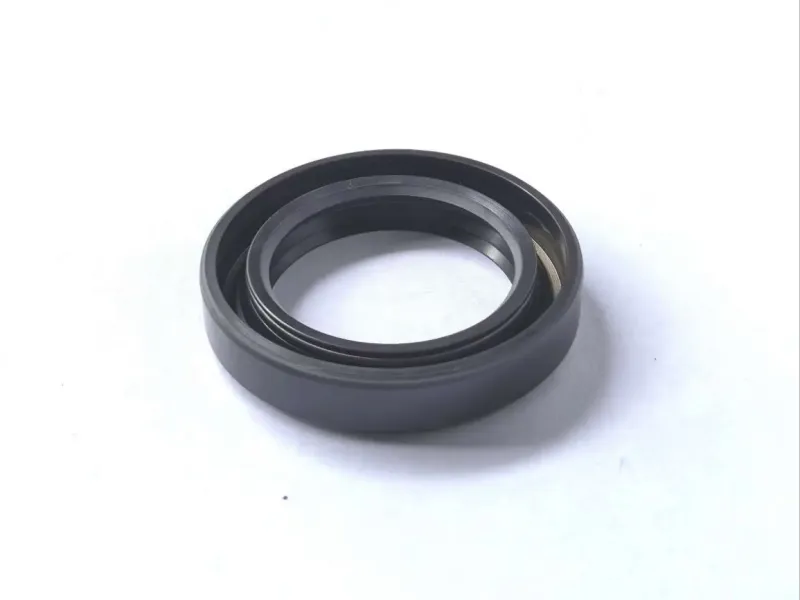 Transmission ZP0066