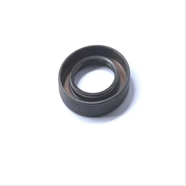  Transmission ZP0246