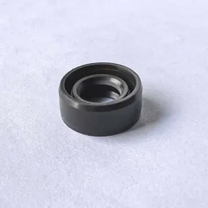 Transmission ZP0061