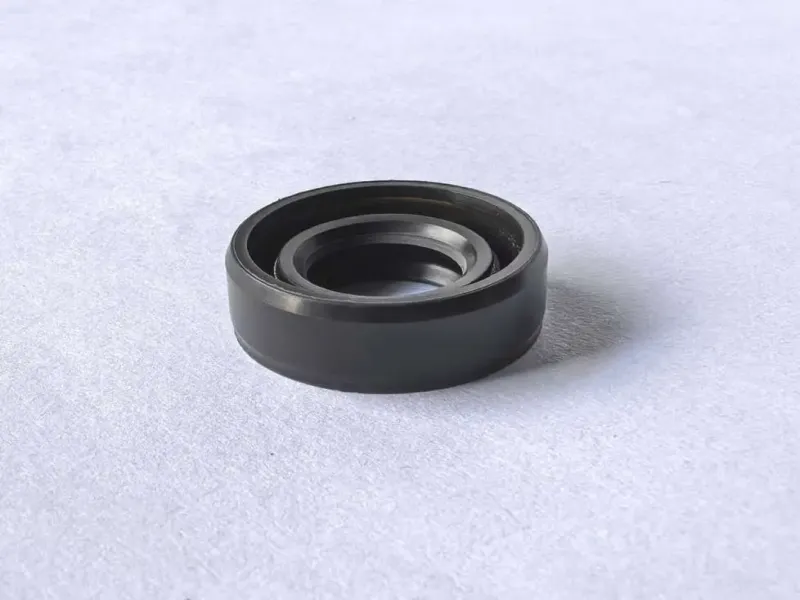 Transmission ZP0061