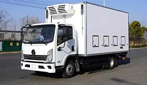 Shaanxi Automobile Delong Chicken Seedling Transport Vehicle