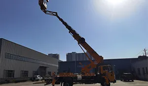 32 domestic flying arms