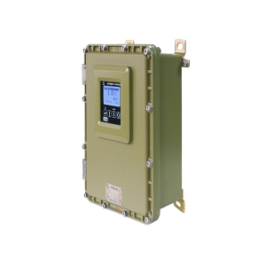 CI-PC552-1 Explosion-proof selective hydrogen content analyzer