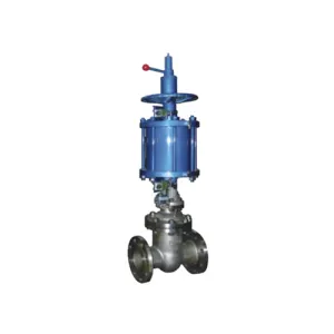 Pneumatic gate valve