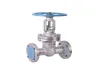 Wedge gate valve