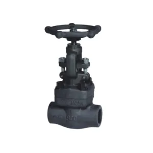Forged steel globe valve
