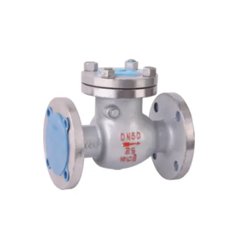 Swing check valve