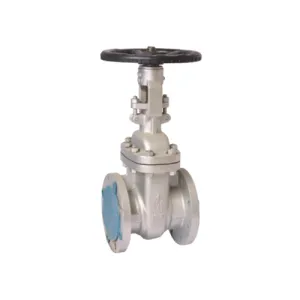 API Gate valve