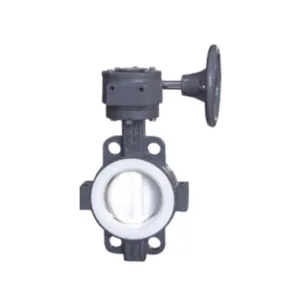 Worm four fluorine wafer butterfly valve