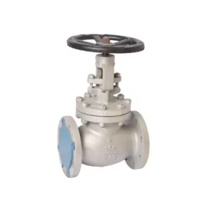 API Globe valve