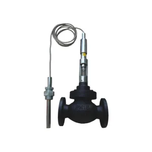 Self-typethermostatic valve