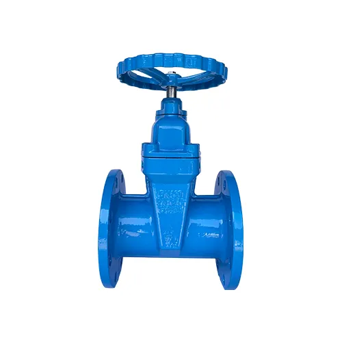 Rising Stem Soft-Seated Gate Valve For Industrial Piping