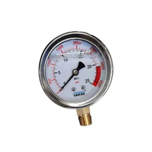 Air bag pressure gauge