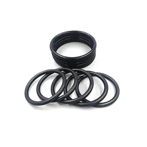 O-ring