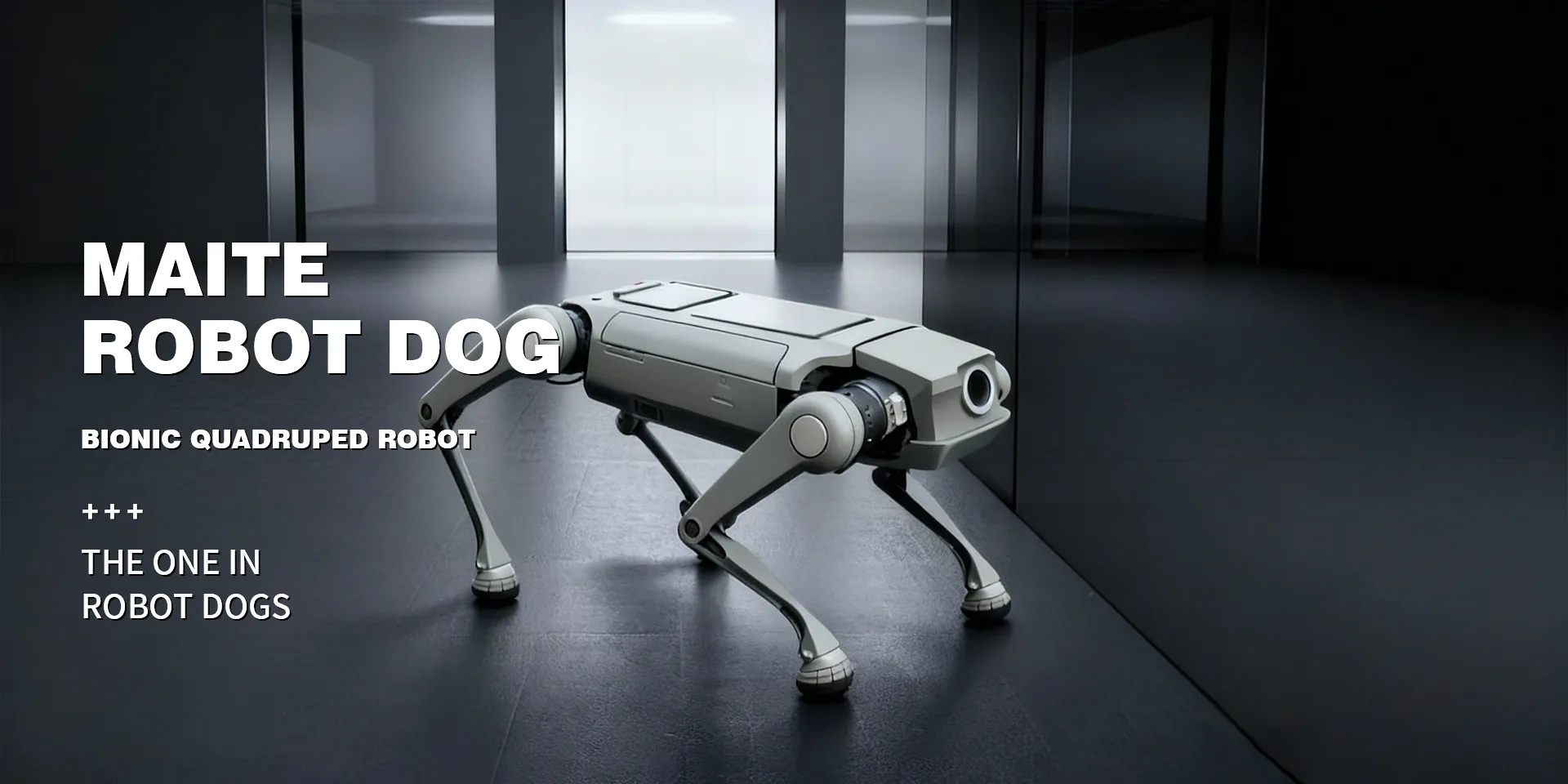 Wheeled Medium-Sized Quadruped Robot