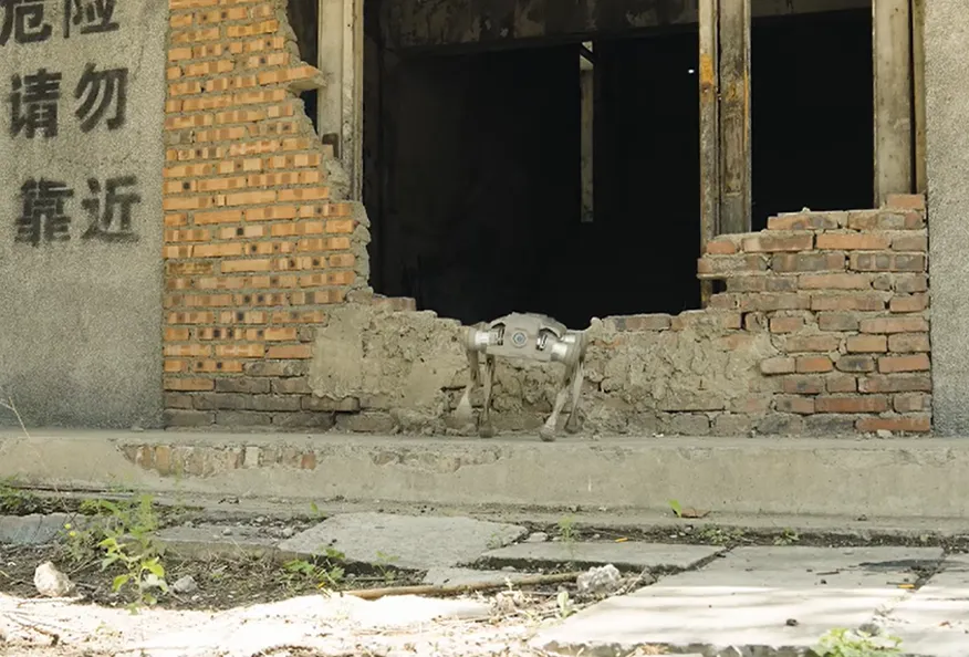 Mountain-Wading Off-Road Robot Dog: 1.2m Submersion