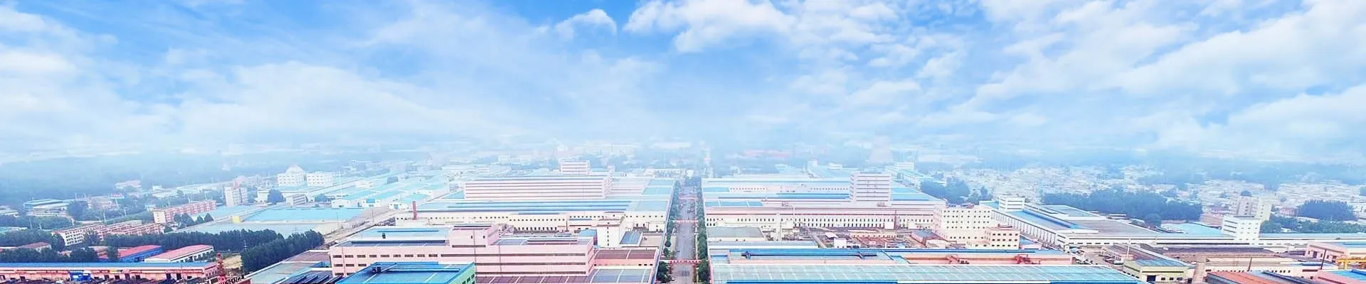 公司介绍s