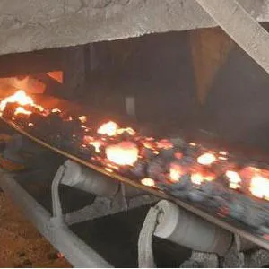 Heat Resistant Conveyor Belts