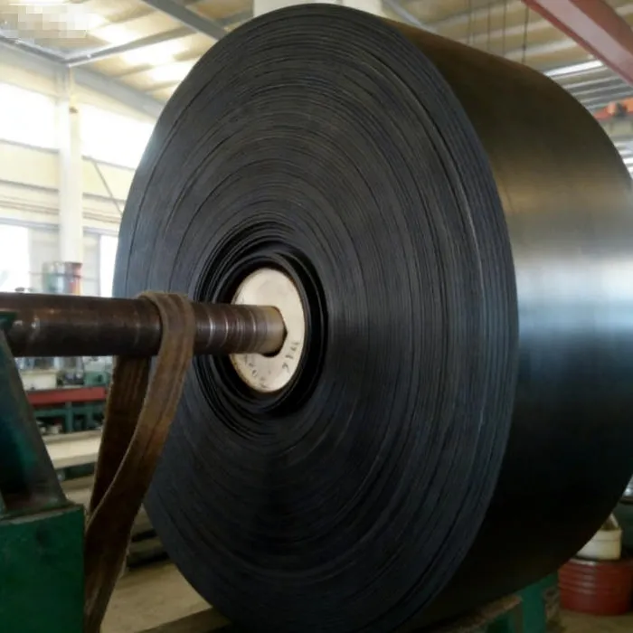 Polyester conveyor belts