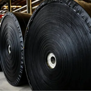 Steel cord conveyor belts
