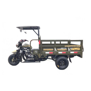 Zhongyue 200 air-cooled fuel motor tricycle