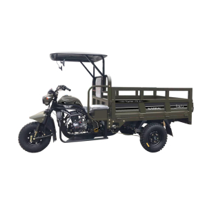 High-end passenger three-wheeled motorcycle