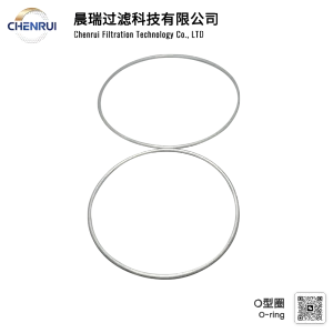 Filter O-ring