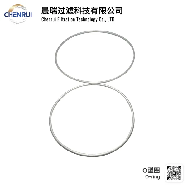 Filter O-ring
