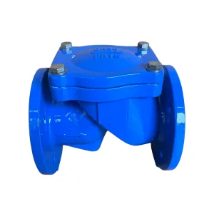 Flapper check valve