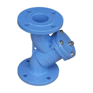 Y type strainer