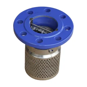 double disc foot valve