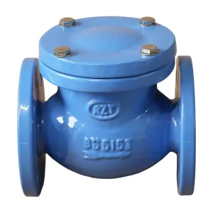 Swing type check valve
