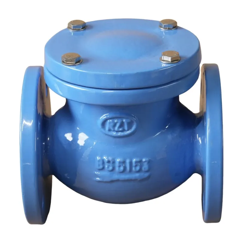 Swing type check valve