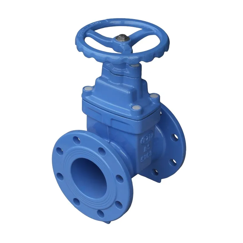 BS5163 Non-Rising Stem Resilient Seated Gate Valve