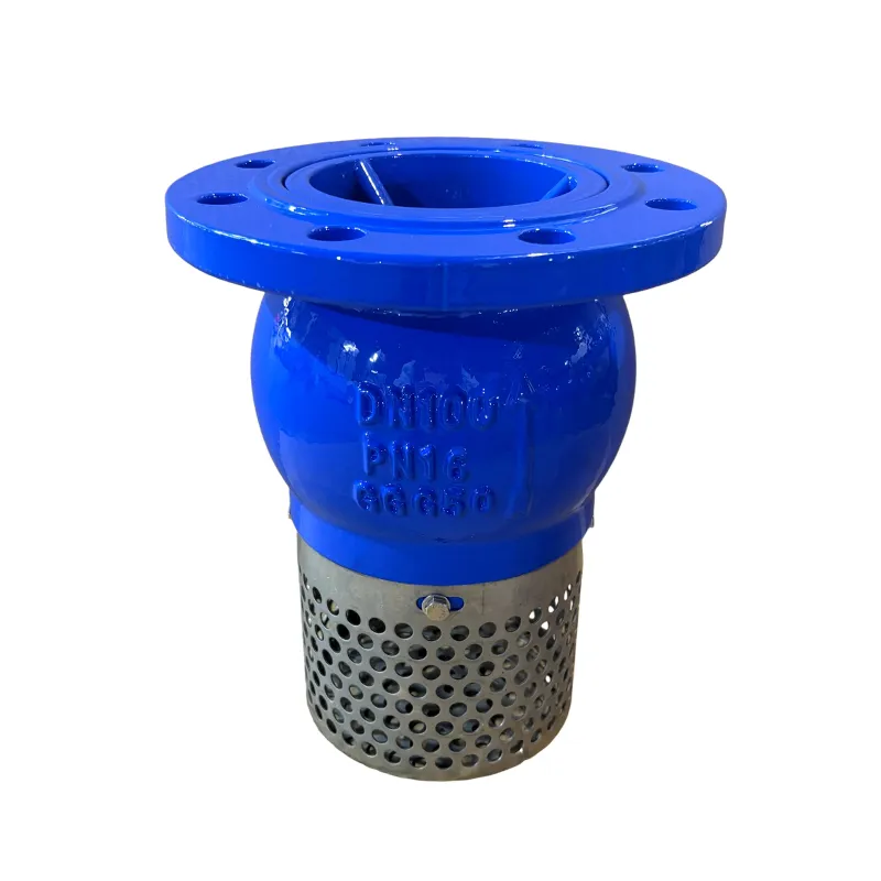 foot valve