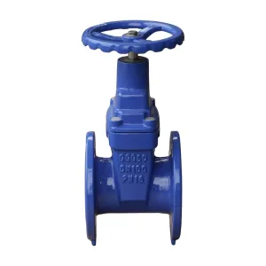 Resilient Seated Gate  Valve