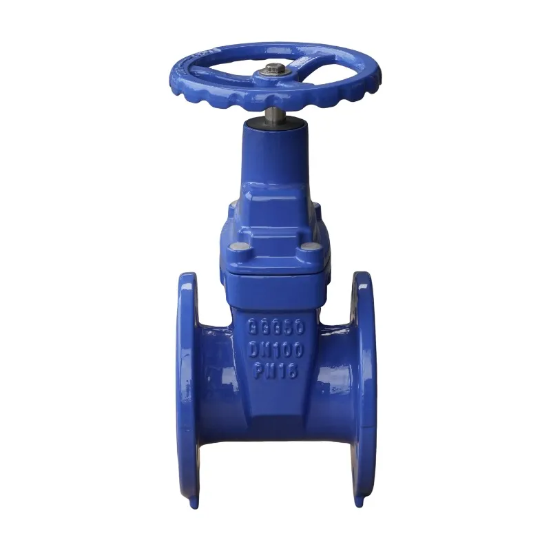 Resilient Seated Gate  Valve