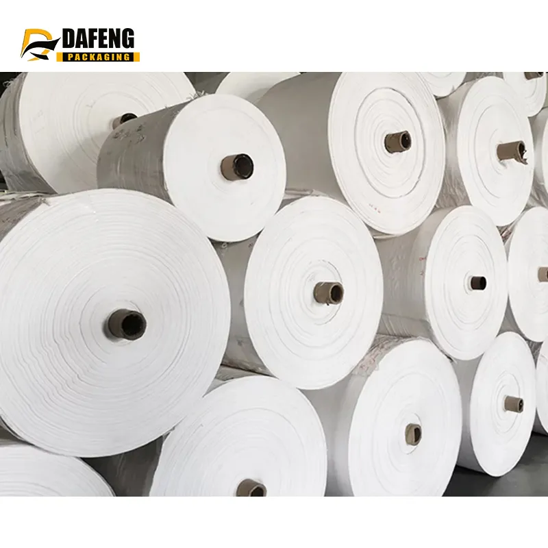 PP Woven Fabric Roll BOPP