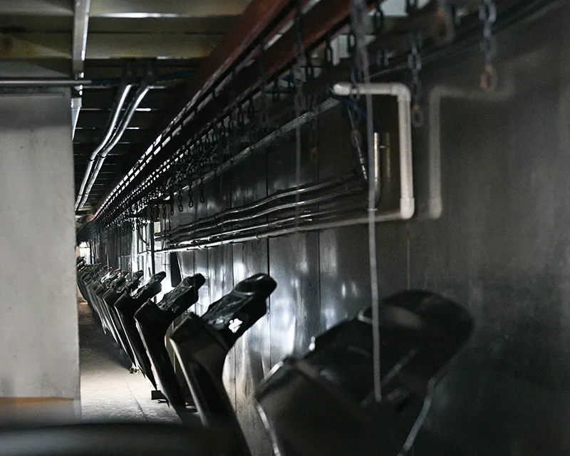 Automotive Body Panel Surface Treatment Line