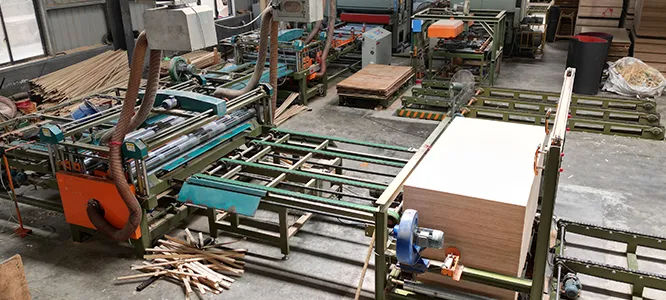 Hubei Project Case