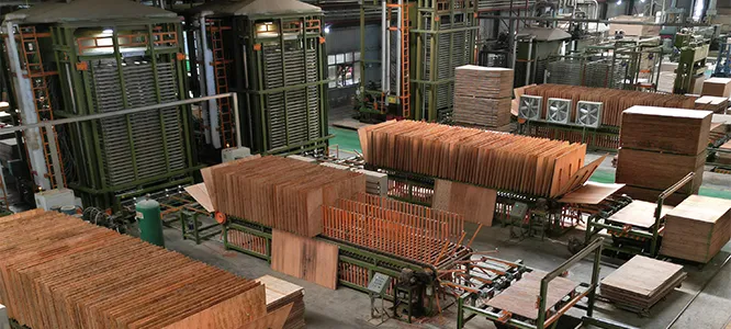 Fogang Project Case
