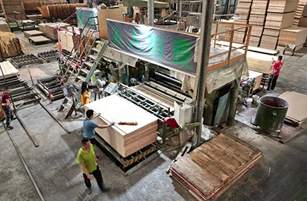 Overview of Popular Wood‑Based Panel Types on the Market