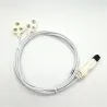Customized Medical Physiotherapy Cable  with 2.3mm female snap electrode connectors